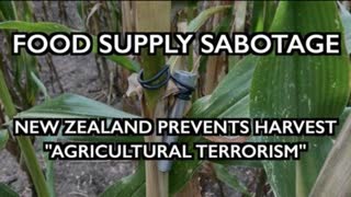 AGRICULTURAL TERROR: New Zealand Blocks Farmworkers, Leaves Crops to Rot