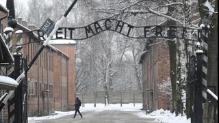 Questioning the Holocaust: Why We Believed