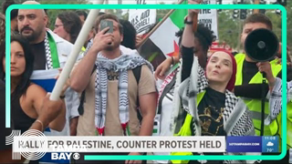 Tampa Bay's Palestinian community holds demonstration in Temple Terrace, Israeli Americans counter p