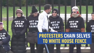 Protesters Demanding Israel Cease-Fire Chain Themselves to White House