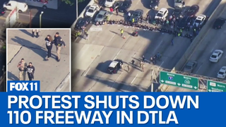 110 Freeway shut down by Jewish protesters demanding Israel-Gaza ceasefire