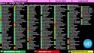 UN General Assembly adopts Gaza resolution calling for immediate & sustained humanitarian truce