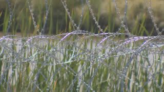 Court appeal allows razor wire to remain along Texas border