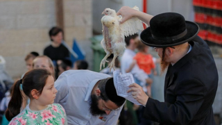 Ultra-Orthodox Jews wave chickens above their heads in centuries-old 'Kaparot' ritual