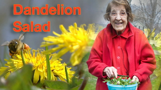 Great Depression Cooking - Dandelion Salad