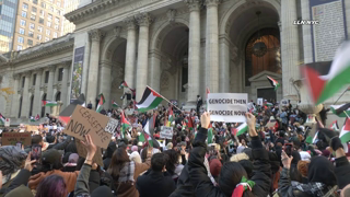 Palestine Protestors Arrested at Public Library near Macy's Thanksgiving Parade Route NYC 11.23.23