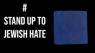 Stand Up to Jewish Hate Crush|ðŸŸ¦ #nohate  #asmr #endjewhatred