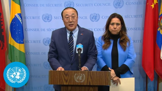 China & the United Arab Emirates on Gaza | Security Council Media Stakeout | United Nations