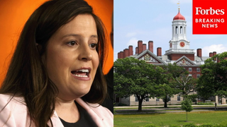 'Enabling The Promulgation Of Horrific Anti-Semitism': Elise Stefanik Hammers Harvard