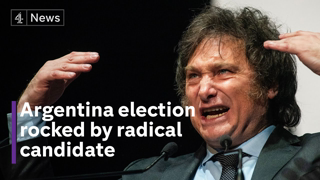 Argentina election: Who is the far-right candidate Javier Milei?