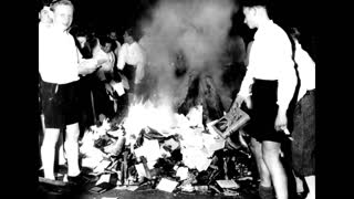 The National Socialist Book Burnings 1933 - The Truth