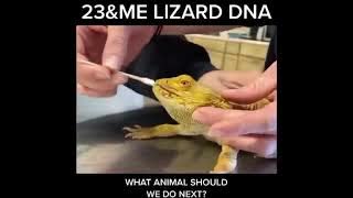 23&Me Lizard DNA