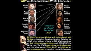 Jews and Racemixing For The White Genocide Endgame