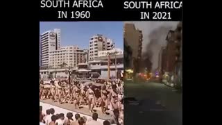 South Africa: Humans vs Animals