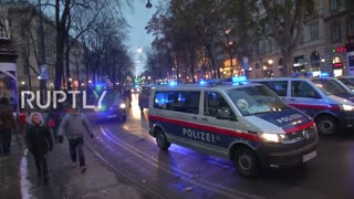 Austria: Anti-vaccine mandate protest hits Vienna