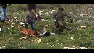 Military Dog Assaults Palestinian Protester in Kufer Qaddum, 16.3.2012