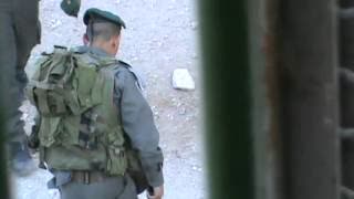 Israeli Police kicks Palestinian Child in Hebron