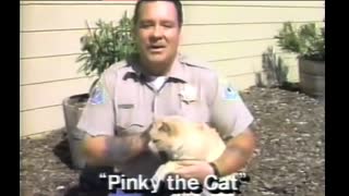 Pinky The Cat, Up For Adoption