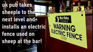 UK pub erects electric fence used on sheep to keep "sheeple back" at bar!