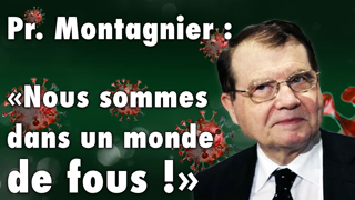 Professeur Luc Montagnier : vaccin et origine de la pandÃ©mie (+ annonce)