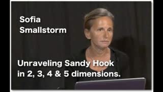 Unraveling Sandy Hook - By Sofia Smallstorm