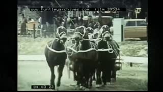 South Africa - 1960 vs 2021