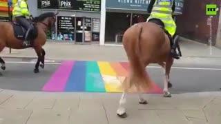 Anti LGBT Police Horses