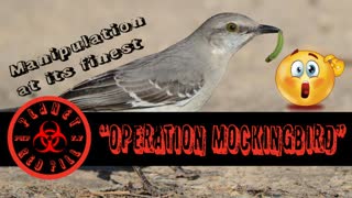 PRP Episode 3. "Operation Mockingbird"