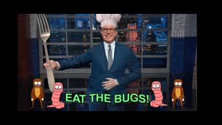 "Eat The Bugs!" pt2