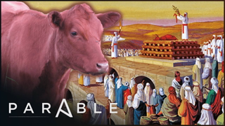 The Origins Of The Temple Mount and The Red Heifer Prophecy