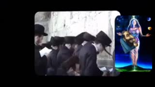 Did You Ever Wonder Why jews Hump a Wall???