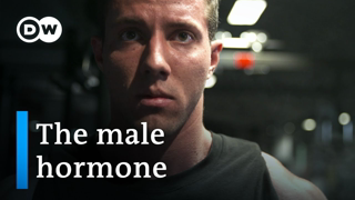 Testosterone â€” new discoveries about the male hormone | DW Documentary