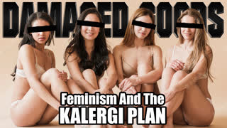 DAMAGED GOODS: Feminism and The Kalergi Plan (JQRC)