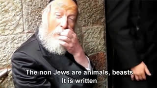 Talmudic Jews: Non-Jews Are Beasts To Serve Jews As Slaves. Each One Of Us Will Have 2800 Slaves.