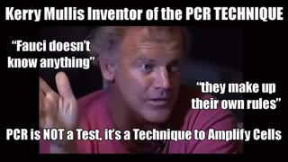 Kary Mullis PCR TECHNIQUE Inventor: People are Misinterpreting It. It is NOT for Diagnostics.