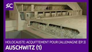 Â«Â HolocausteÂ : acquittement pour l'AllemagneÂ Â»Â : Le camp d'Auschwitz (1)