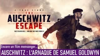 AuschwitzÂ : lâ€™arnaque de Samuel Goldwyn