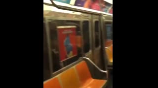 Woman Tears Down Tranny Propaganda On NYC Subway