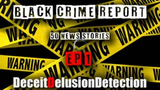 (EP1) BLACK CRIME REPORT-DECEITDELUSIONDETECTION