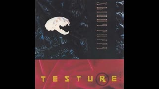 SKINNY PUPPY - Testure (12" Mix)