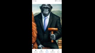 Silverback gorilla judge gots a gavel GODDAMN!!!!!!!!!!!! OUR COUNTRY IS IN TROUBLE.