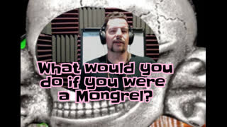 What would you do if YOU were a Mongrel?