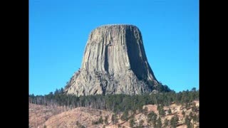 Another HUGE SECRET Hidden in Plain SIGHT - Giant TREES in the "GARDEN" of Earth