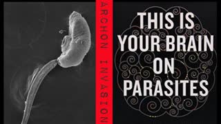 Archon Invasion, Parasites in Vax Vials, Emergency Broadcast System and Biological Apocalypse