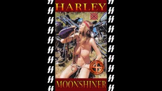 REBEL HARLEY HIPPIE MOONSHINER, BEST TSHIRT YET