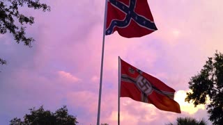 WWII German vinyl insignia ,plus Flags Flying