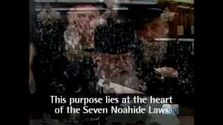 Universal Mission Lubavitcher Rebbe (blasphemous) on Laws of Noah