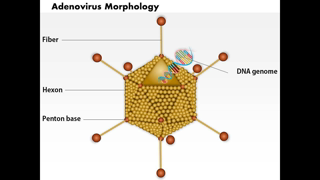 Asymptomatic SARS-CoV-2 Patients.