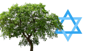 The Islamic Holocaust (The Gharqad Tree)