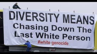 Diversity & Multiculturalism = White Genocide (Facts Only, No BS)